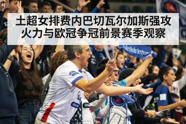 volleyball arena crowd