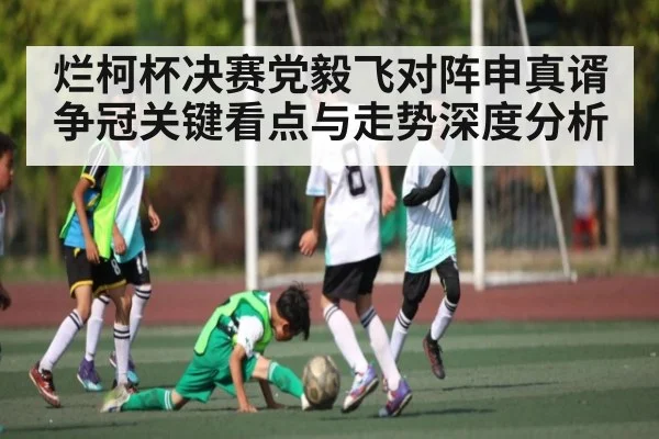 烂柯杯决赛党毅飞对阵申真谞争冠关键看点与走势深度分析